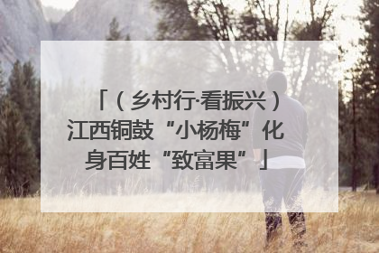 （乡村行·看振兴）江西铜鼓“小杨梅”化身百姓“致富果”