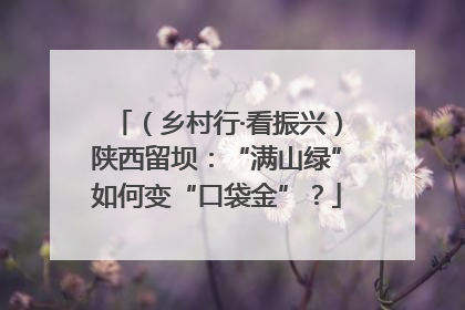 （乡村行·看振兴）陕西留坝：“满山绿”如何变“口袋金”？