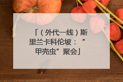 （外代一线）斯里兰卡科伦坡：“甲壳虫”聚会