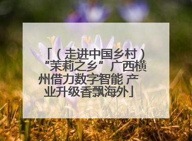 （走进中国乡村）“茉莉之乡”广西横州借力数字智能 产业升级香飘海外