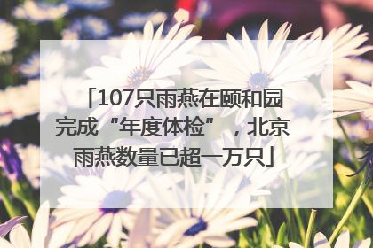 107只雨燕在颐和园完成“年度体检”，北京雨燕数量已超一万只