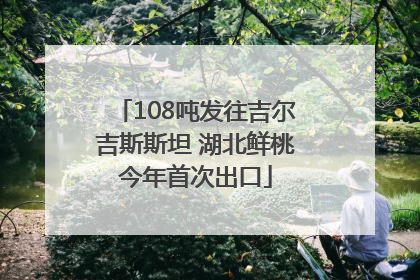 108吨发往吉尔吉斯斯坦 湖北鲜桃今年首次出口