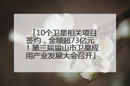 10个卫星相关项目签约，金额超73亿元！第三届眉山市卫星应用产业发展大会召开