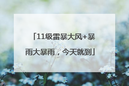 11级雷暴大风+暴雨大暴雨，今天就到