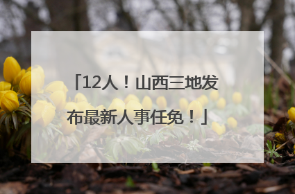 12人！山西三地发布最新人事任免！