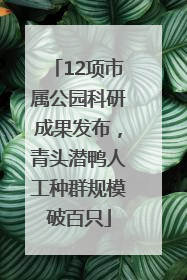 12项市属公园科研成果发布，青头潜鸭人工种群规模破百只