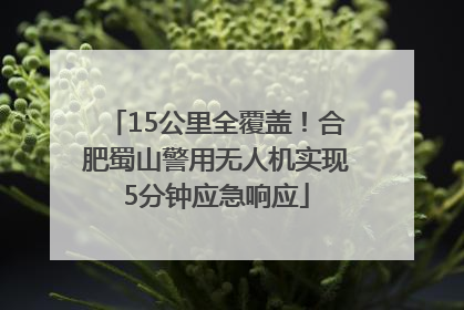 15公里全覆盖！合肥蜀山警用无人机实现5分钟应急响应