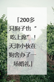 200多只狗子也“吃上席”！天津小伙在狗舍办了一场婚礼
