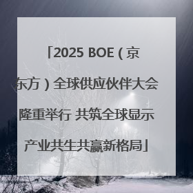 2025 BOE（京东方）全球供应伙伴大会隆重举行 共筑全球显示产业共生共赢新格局