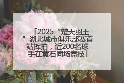 2025“楚天羽王”湖北城市俱乐部赛首站挥拍，近200名球手在黄石同场竞技