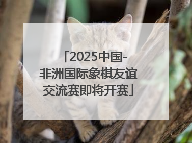 2025中国-非洲国际象棋友谊交流赛即将开赛
