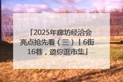 2025年廊坊经洽会亮点抢先看（三）丨6街16巷，邀你逛市集