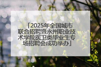2025年全国城市联合招聘暨永州职业技术学院医卫类毕业生专场招聘会成功举办