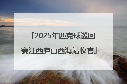 2025年匹克球巡回赛江西庐山西海站收官