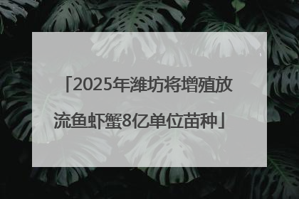 2025年潍坊将增殖放流鱼虾蟹8亿单位苗种