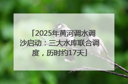 2025年黄河调水调沙启动：三大水库联合调度，历时约17天