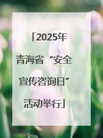 2025年青海省“安全宣传咨询日”活动举行