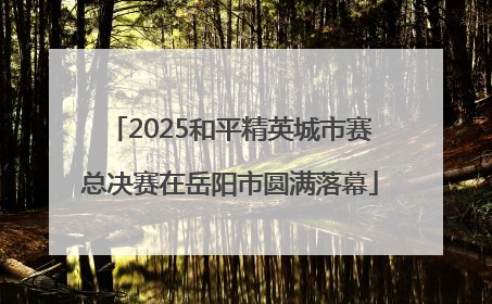 2025和平精英城市赛总决赛在岳阳市圆满落幕