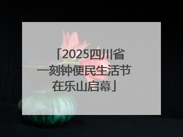 2025四川省一刻钟便民生活节在乐山启幕