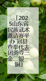 2025山东省民族武术邀请赛举办 冠县查拳代表团勇夺三金二银一铜