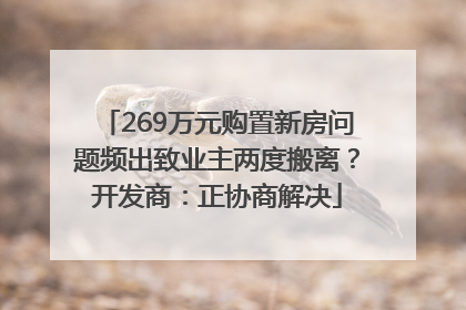 269万元购置新房问题频出致业主两度搬离？开发商：正协商解决