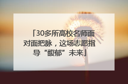 30多所高校名师面对面把脉，这场志愿指导“馥郁”未来
