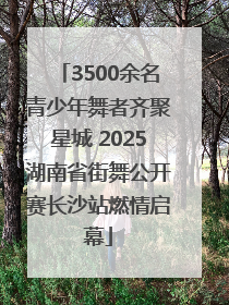 3500余名青少年舞者齐聚星城 2025湖南省街舞公开赛长沙站燃情启幕
