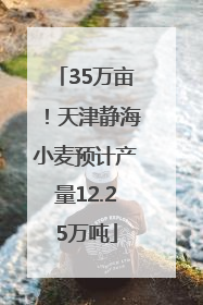 35万亩！天津静海小麦预计产量12.25万吨