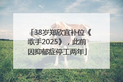 38岁郑欣宜补位《歌手2025》，此前因抑郁症停工两年