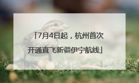 7月4日起，杭州首次开通直飞新疆伊宁航线