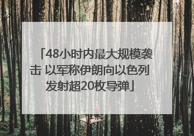 48小时内最大规模袭击 以军称伊朗向以色列发射超20枚导弹