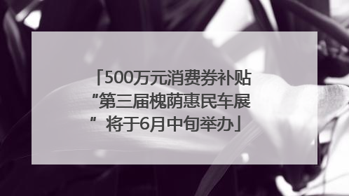 500万元消费券补贴 “第三届槐荫惠民车展”将于6月中旬举办