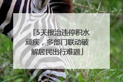 5天根治违停积水顽疾，多部门联动破解居民出行难题