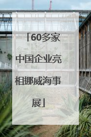 60多家中国企业亮相挪威海事展