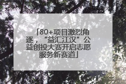 80+项目激烈角逐，“益汇江汉”公益创投大赛开启志愿服务新赛道