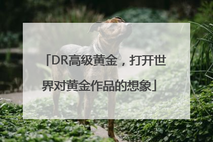 DR高级黄金，打开世界对黄金作品的想象