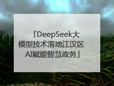 DeepSeek大模型技术落地江汉区 AI赋能智慧政务